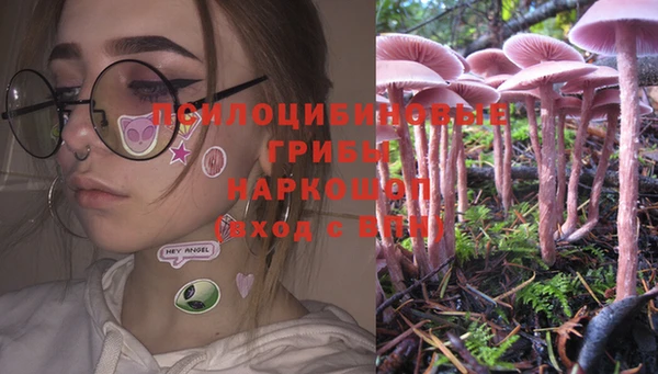 стафф Мегион