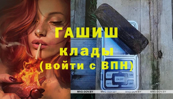 шишки Магадан