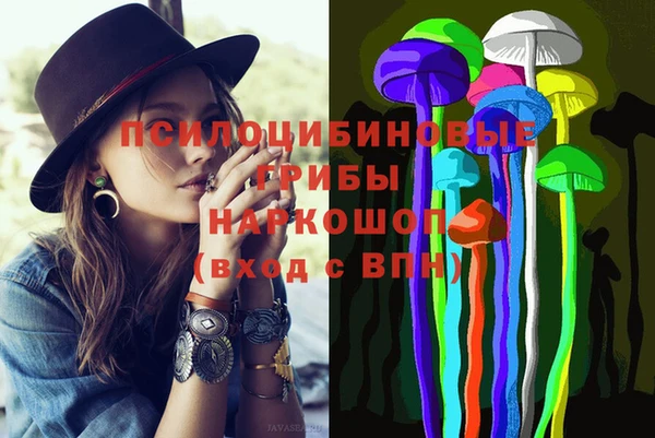 гашик Майский