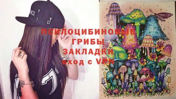 шишки Магадан