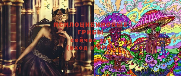 тгк Алагир